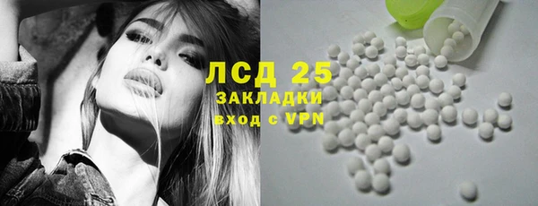 трава Лабытнанги