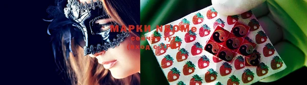 молекула духа Кулебаки