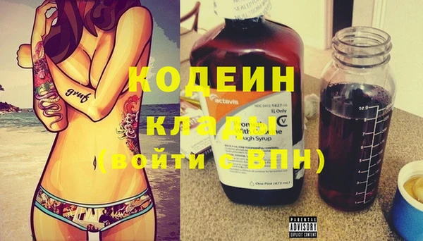 молекула духа Кулебаки