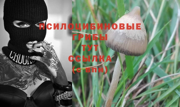 стафф Ленск