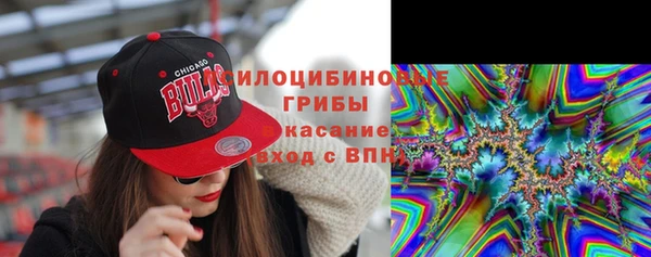 трава Лабытнанги