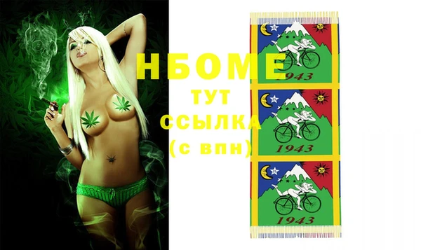 молекула духа Кулебаки